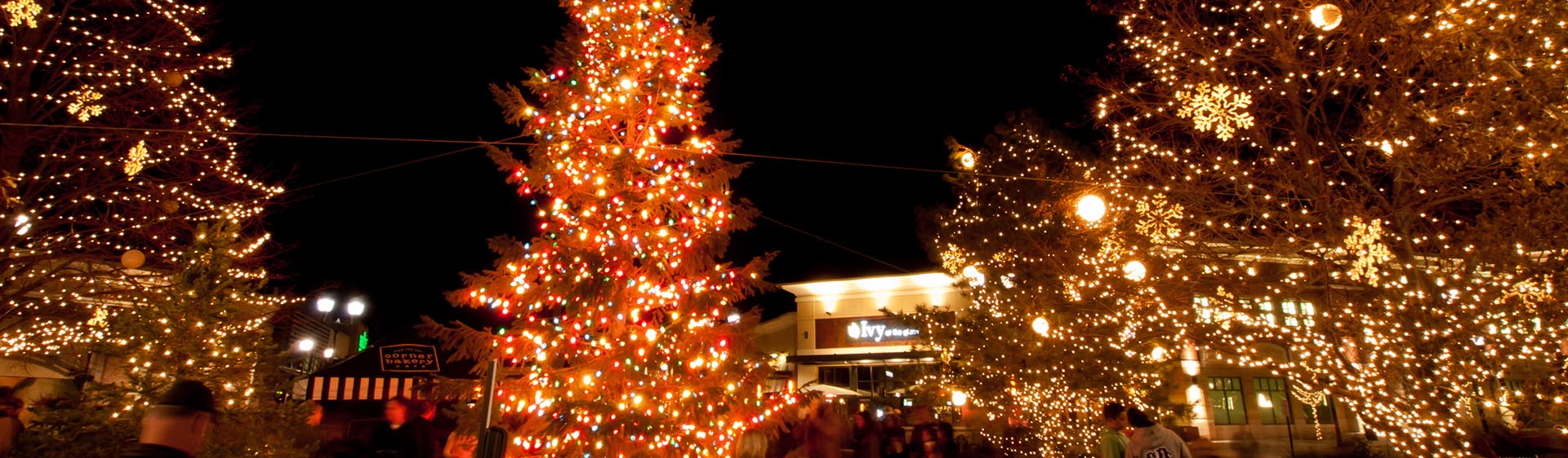 Okotoks Christmas Light Installation, Christmas Light Company and Holiday Lighting Installation